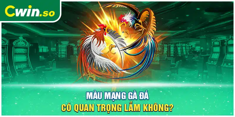 Màu mạng gà đá có quan trọng lắm không?